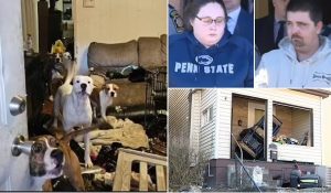 ΗΠΑ: Γονείς τέρατα ξυλοκοπούσαν την 6χρονη κόρη τους και την τάιζαν σκυλοτροφή -Τι είπε το παιδί στους ψυχολόγους