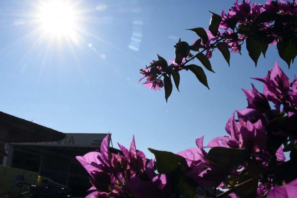 Θεόδωρος Κολυδάς: Ποιες είναι οι Αλκυονίδες μέρες και γιατί διαρκούν περισσότερο στην Αττική;