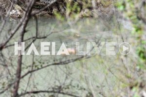 Ηλεία: Το DNA θα δείξει την ταυτότητα του πτώματος στο φράγμα του Αλφειού ποταμού – Τα σενάρια