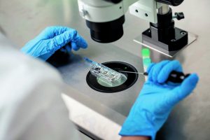 «Φόνος η θανάτωση κατεψυγμένων εμβρύων!»