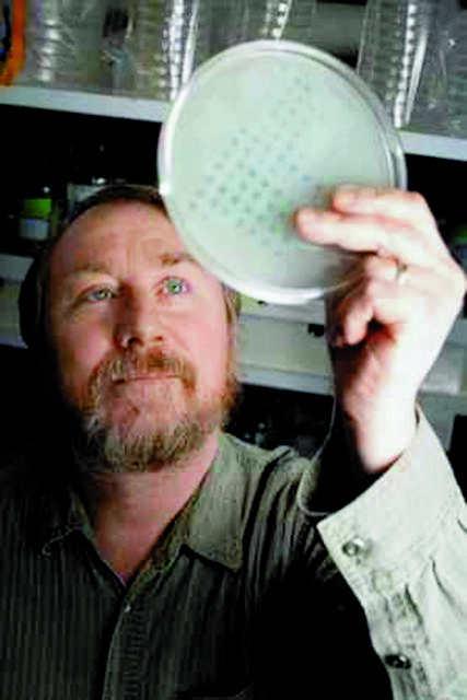 Καθώς καίγονταιχίλια όνειρα