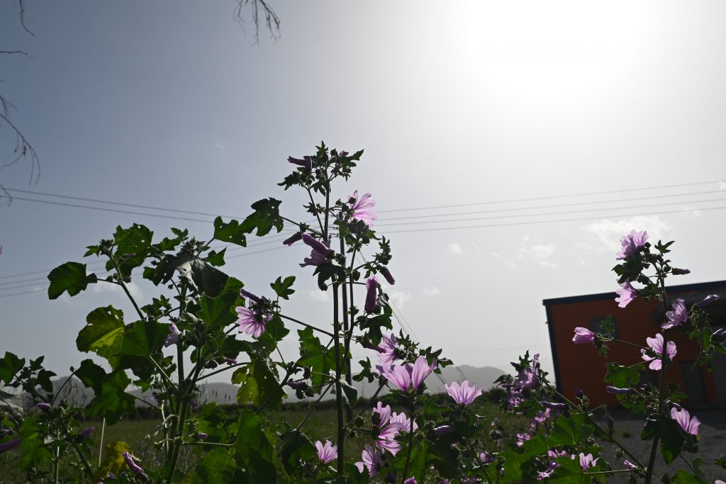 Θερμές αέριες μάζες και αφρικανική σκόνη φέρνουν νωρίτερα το καλοκαίρι