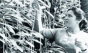 Σε ποιον ανήκει η δικαιοσύνη;