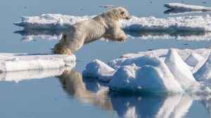 Αρκτική: Σε λίγα χρόνια μπορεί να μένει χωρίς πάγο τα καλοκαίρια