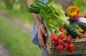 Eurostat: Ποια φρούτα και λαχανικά βρίσκονται στην κορυφή της παραγωγής στην ΕΕ