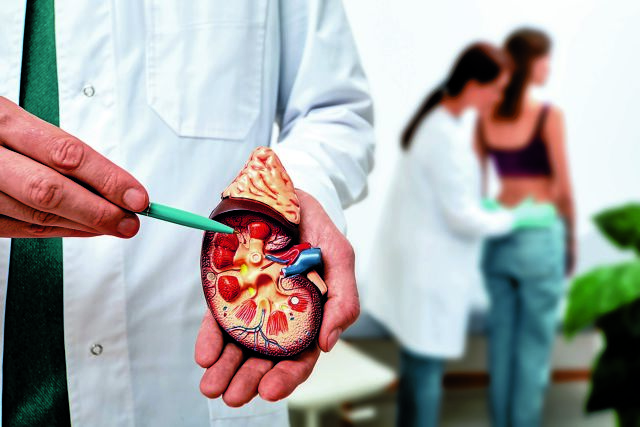 Επανάσταση στην Ιατρική: Επιστήμονες δημιούργησαν τεχνητό νεφρό που λειτουργεί σαν το ανθρώπινο