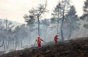 Πυρκαγιά στα Καμένα Βούρλα