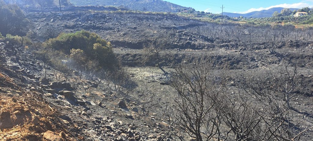 Λακωνία: Υπό μερικό έλεγχο τέθηκε η φωτιά στην περιοχή Άγιος Στέφανος στη Μονεμβασιά