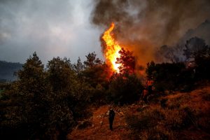 Πυροσβεστική: Συναγερμός για πυρκαγιά που ξέσπασε στους Δελφούς – Σηκώθηκαν αεροσκάφη