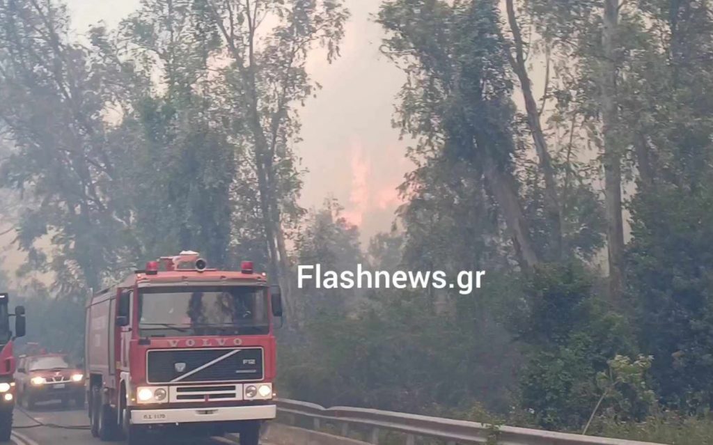 Κρήτη: Φωτιά σε δασική έκταση στον Ναύσταθμο – Εκκενώθηκε ο οικισμός και το νοσοκομείο, ήχησε το 112