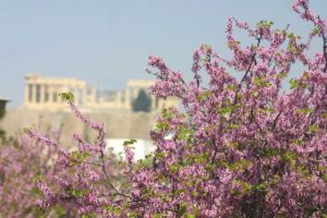 Καιρός: Ηλιοφάνεια με υψηλές θερμοκρασίες σε όλη τη χώρα το Σάββατο