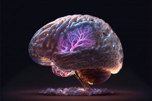 Ο ανθρώπινος εγκέφαλος μεγάλωσε, αλλά μυαλό… δεν βάλαμε – Τα ανησυχητικά αποτελέσματα μελέτης