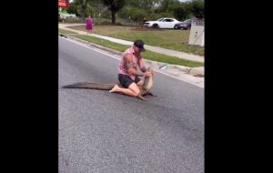 Σοκαριστικό βίντεο: Παλαιστής ακινητοποίησε αλιγάτορα 2,5 μέτρων με γυμνά χέρια