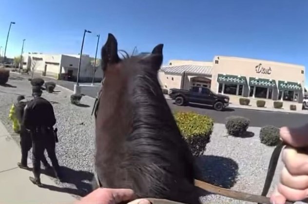 Viral βίντεο: Αστυνομικός πάνω σε άλογο καταδίωξε κλέφτη – Τον έφτασε σε δευτερόλεπτα