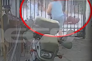 Αδιανόητες εικόνες στη Σαλαμίνα: Αστυνομικός επιτέθηκε σε ζευγάρι – Δείτε το βίντεο