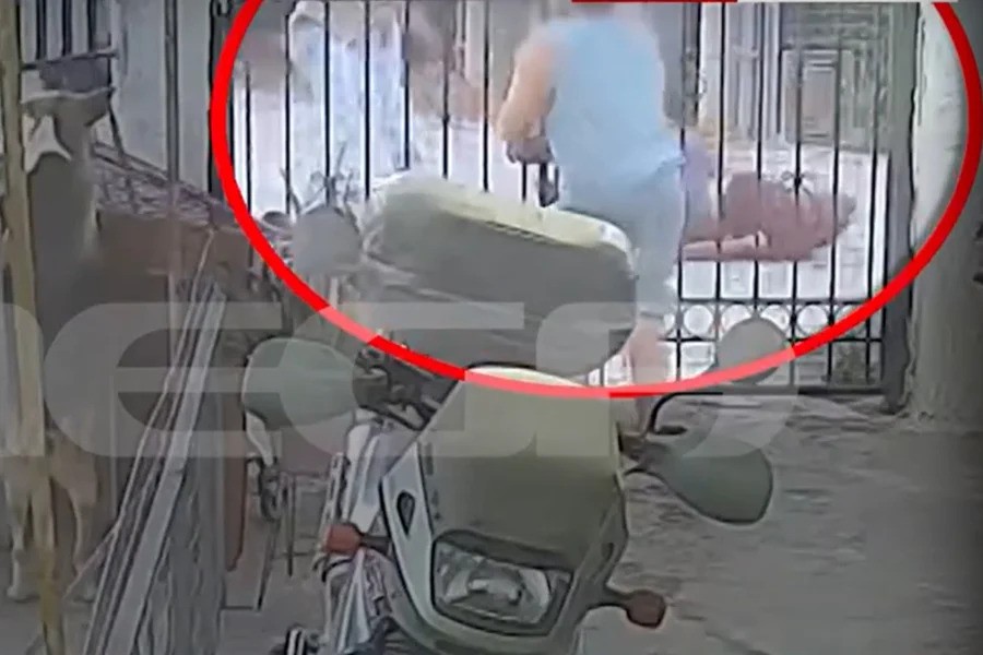 Αδιανόητες εικόνες στη Σαλαμίνα: Αστυνομικός επιτέθηκε σε ζευγάρι – Δείτε το βίντεο