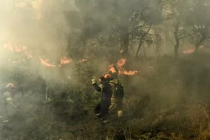 Βοιωτία: Πυρκαγιά σε εξέλιξη στην Αλίαρτο – Δεν απειλούνται κατοικημένες περιοχές