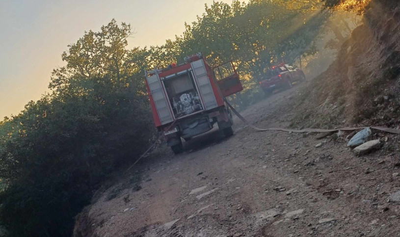 Οριοθετήθηκε η φωτιά στο όρος Μαυροβούνι στη Λάρισα
