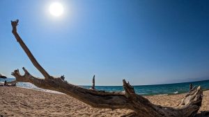 Καιρός: Απρίλιος με θερμοκρασίες… Ιουλίου: Ξεπέρασε τους 32 βαθμούς ο υδράργυρος