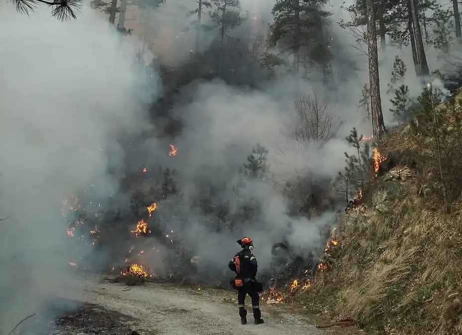 Κατερίνη: Ενισχύθηκαν οι δυνάμεις της Πυροσβεστικής στα Πιέρια Όρη – ‘Eρπουσα η πυρκαγιά στο μεγαλύτερο μέρος