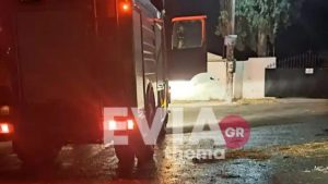 Κτηνωδία στη Χαλκίδα: Πέταξε σκύλο σε κάδο απορριμμάτων και του έβαλε φωτιά