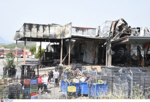 Λαμία: Νέα στοιχεία για την φωτιά στο εργοστάσιο – Ο αυτόπτης μάρτυρας και οι κάμερες ασφαλείας