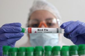 Μαγιορκίνης: «Η γρίπη των πτηνών προς το παρόν δεν έχει τη δυναμική να προκαλέσει μια πανδημία»