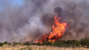 Μεγάλη φωτιά στον Μύτικα Λακωνίας – Επιχειρούν επίγεια και εναέρια μέσα