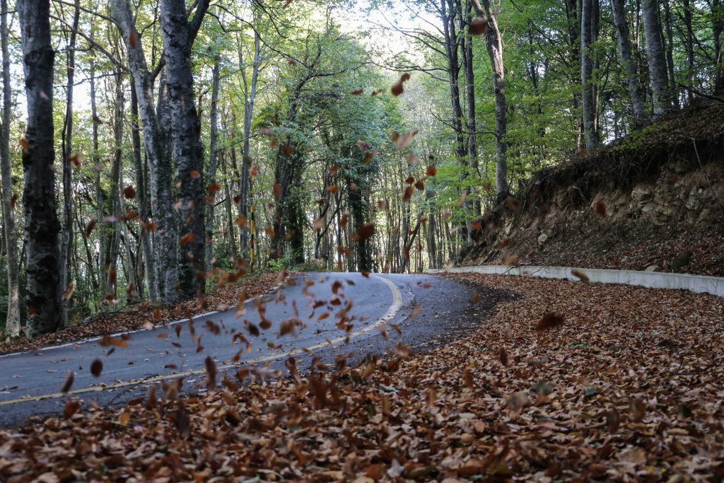 Αίσιο τέλος στην περιπέτεια της 8χρονης που χάθηκε σε σχολική εκδρομή