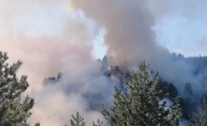 Φωτιά στην περιφερειακή του Αιγάλεω – Σηκώθηκε και ελικόπτερο