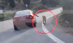 Ναύπλιο: Βίντεο με συνοδηγό ΙΧ να τρέχει το σκυλί του με λουρί έξω από το όχημα