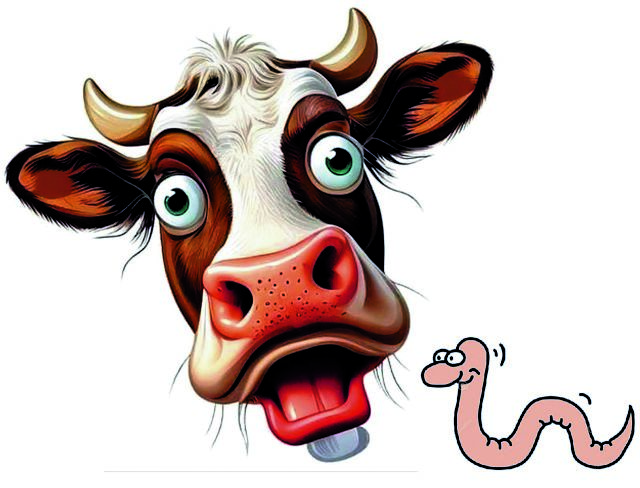 Διατροφικό χάος