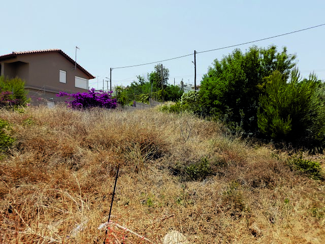 Εστίες κινδύνου τα ακαθάριστα οικόπεδα