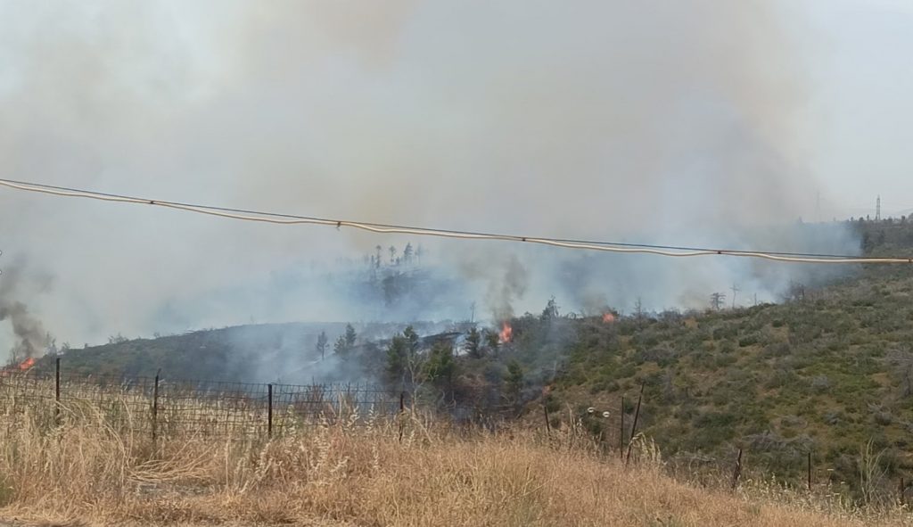 Αφίδνες: Χωρίς ενεργό μέτωπο η μεγάλη φωτιά σε δασική περιοχή