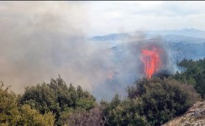 Αργολίδα: Ηχησε το 112 για τη φωτιά στη Δάρδιζα Ερμιονίδας