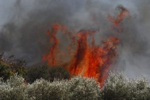 Φωτιά στη Λαμία: Ανεξέλεγκτες οι φλόγες στην Καμηλόβρυση – Στην «μάχη» έξι εναέρια μέσα