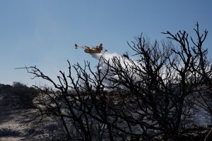Φωτιά στο Κορωπί: Νέα μηνύματα από το 112 για εκκενώσεις περιοχών – Έκλεισαν δρόμοι