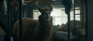 Αυτό το ξενοδοχείο… αυτοδιαφημίζεται ως το χειρότερο στον κόσμο