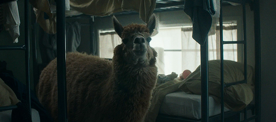 Αυτό το ξενοδοχείο… αυτοδιαφημίζεται ως το χειρότερο στον κόσμο