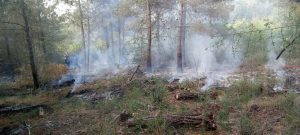 Θεσσαλονίκη: Συνελήφθη 25χρονος για εκ προθέσεως εμπρησμό στο Σέιχ Σου – Τι βρέθηκε πάνω του