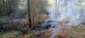 Θεσσαλονίκη: Πυρκαγιά στο Σέιχ Σου – Προσήχθη ύποπτος