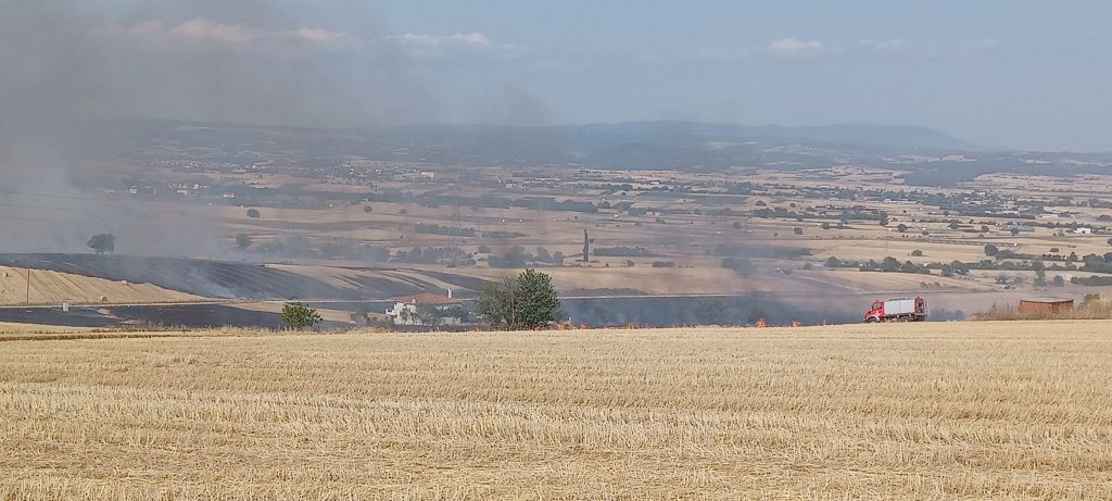 Φωτιά στον Δρυμό Θεσσαλονίκης
