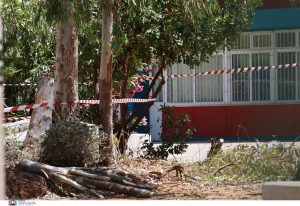 Παπάγου: Το σημείο όπου καταπλακώθηκε από δέντρο ο 47χρονος δημοτικός υπάλληλος