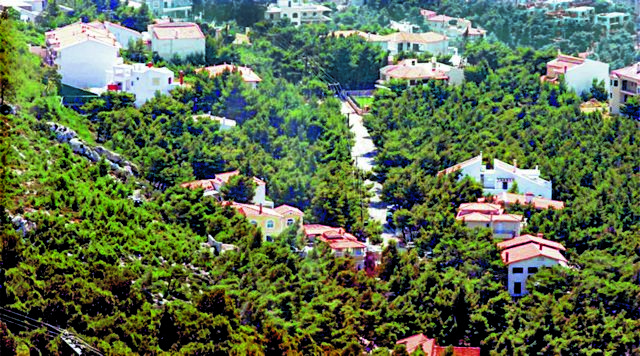 Δασικές εκτάσεις: Πώς μπορείτε να ξεμπλέξετε το κουβάρι των ενστάσεων