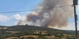 Σέρρες: Συνελήφθη ένα άτομο για τη μεγάλη φωτιά στη Νιγρίτα