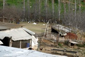Ζαγορά: Τρομακτικές στιγμές για 45χρονο ΑμεΑ – Τον χτύπησαν, τον έδεσαν και τον κλείδωσαν σε μαντρί