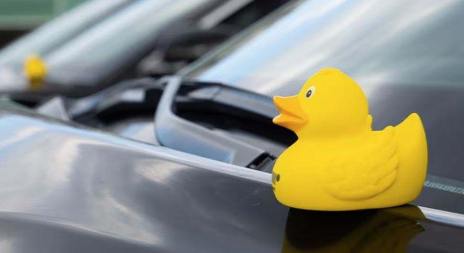 Τι πρέπει να κάνετε αν βρείτε ένα… παπάκι στο αυτοκίνητό σας;