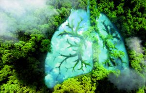 Η ΕΕ ενέκρινε στην κόψη του ξυραφιού τον νόμο