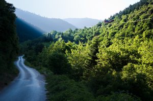 Βόμβες έτοιμες να εκραγούν τα δασικά αυθαίρετα