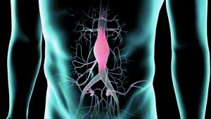 ΚΑΡΔΙΟ…ΓΡΑΦΗΜΑΤΑ